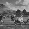 Highlanders football team circo 1959