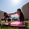Staff practicing yoga outdoors with goats.