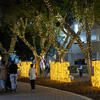 Festival of Lights