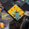 Cat grad cap