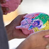 Student examines a model of the brain.