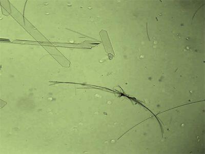 Tiny motor made from crystallized molecules