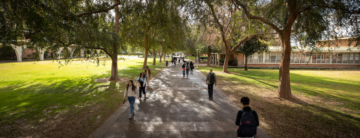 Students walking on campus