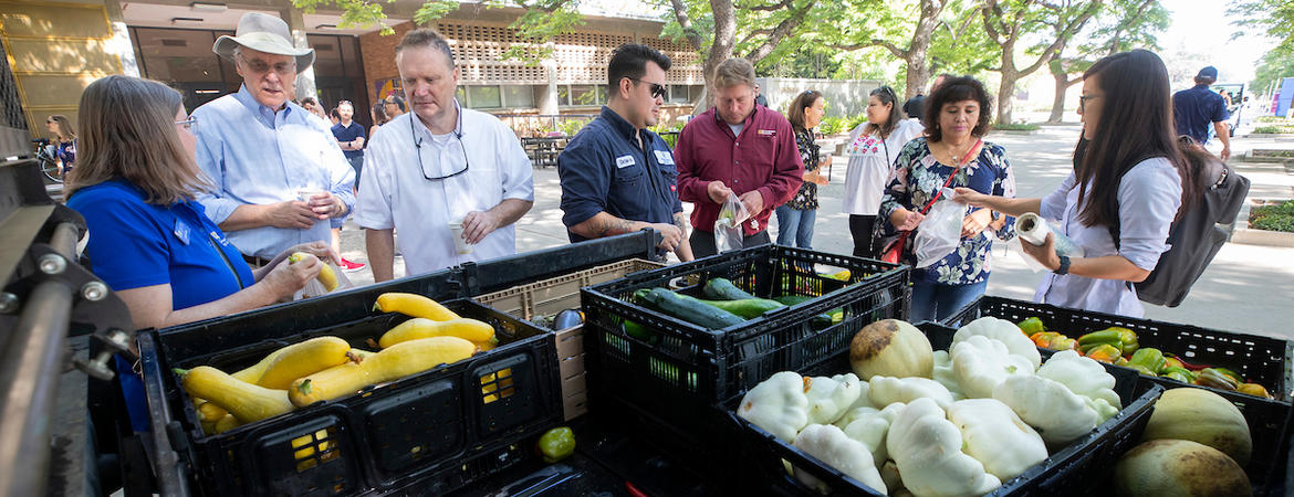 Staff and faculty members