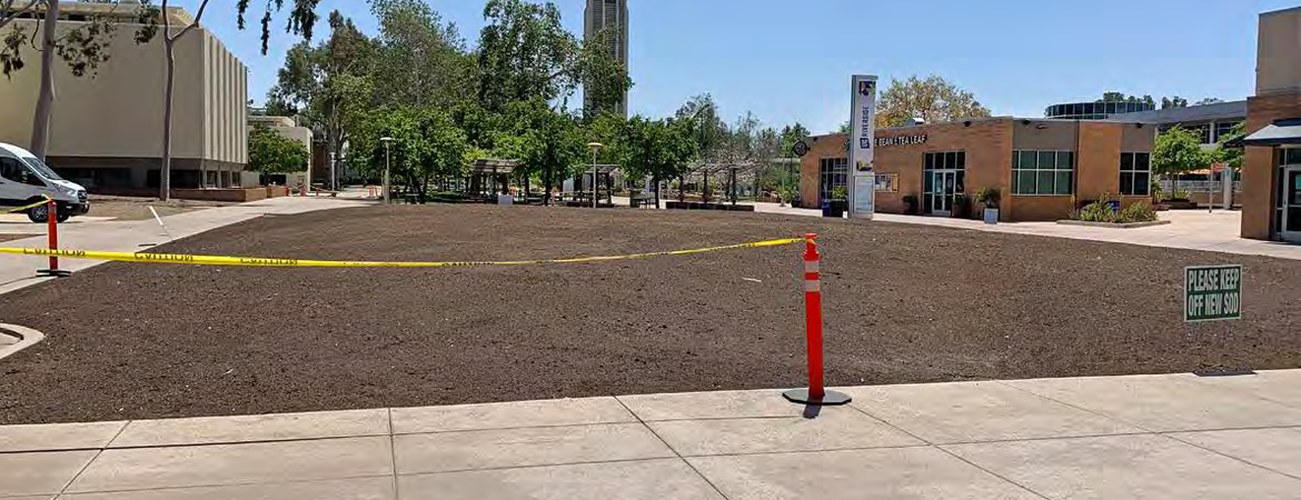 Native American garden 