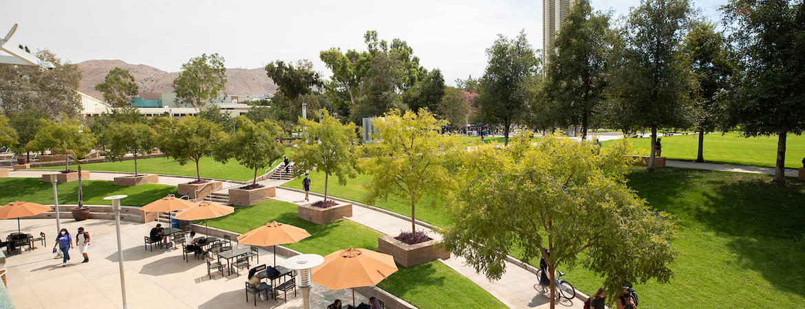 Campus hub and bell tower