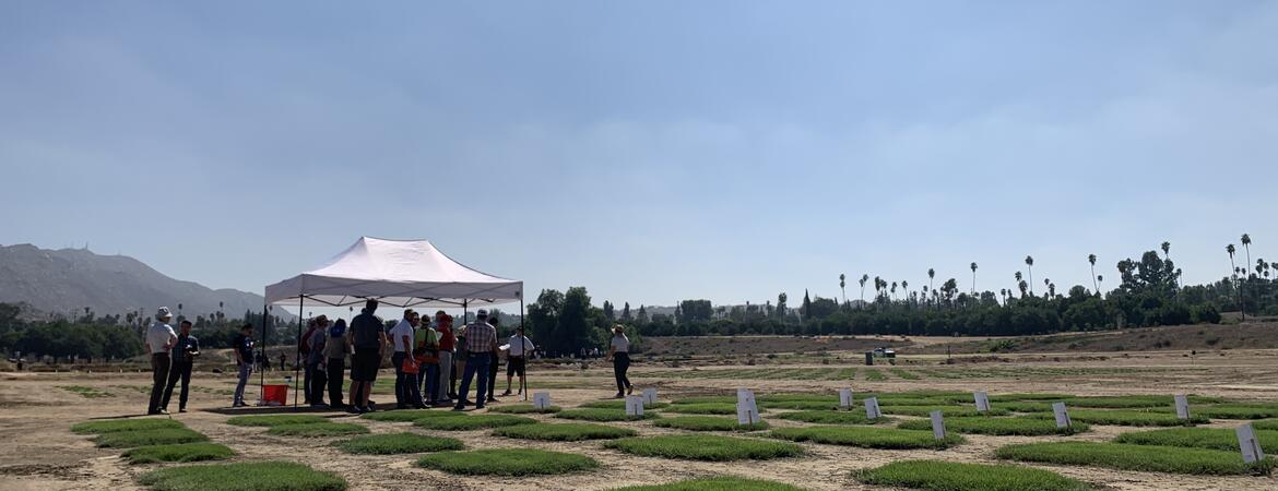 Turfgrass and Landscape field day