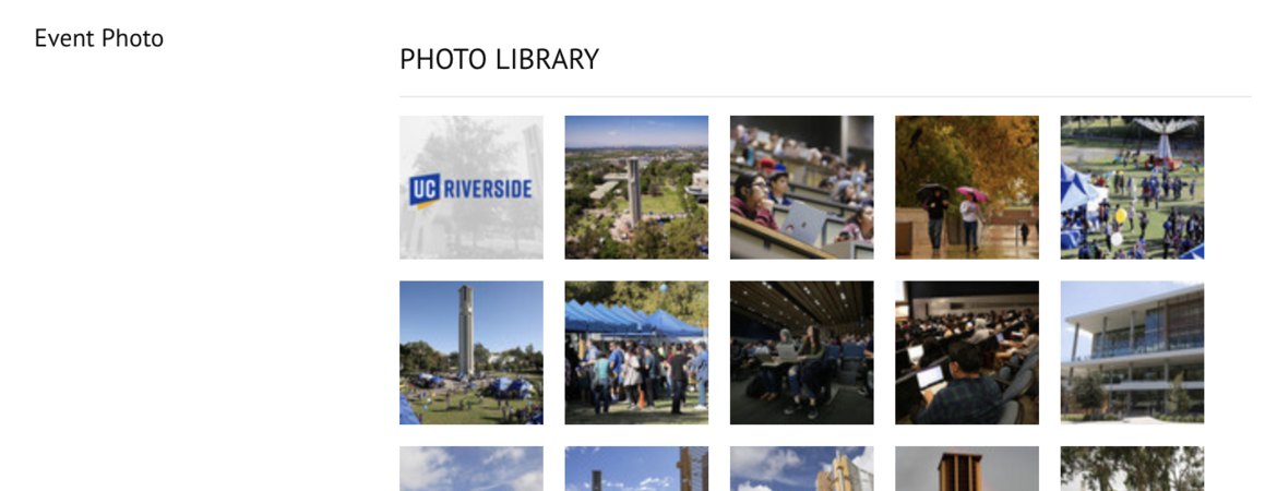 calendar photo library