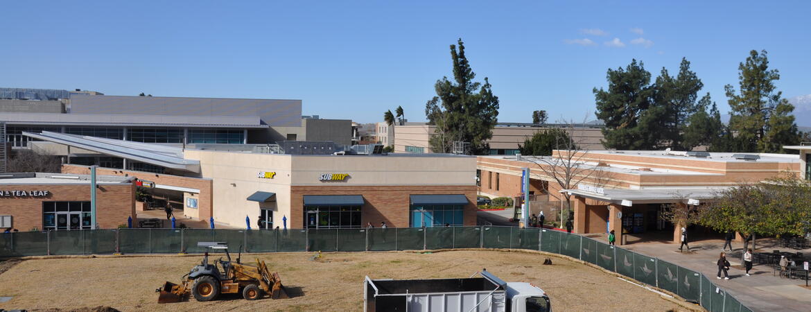 site prep for garden
