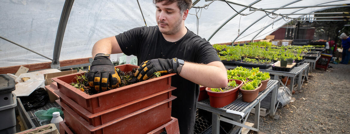 Clifford Morrison composting