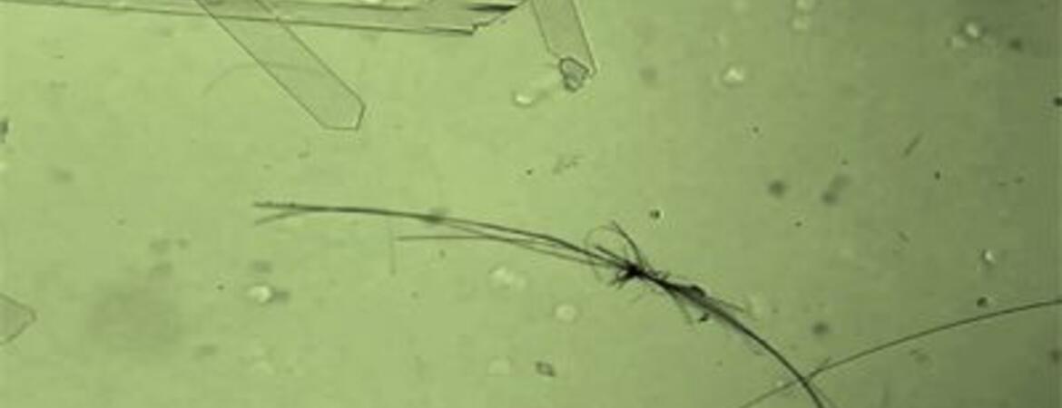 Tiny motor made from crystallized molecules