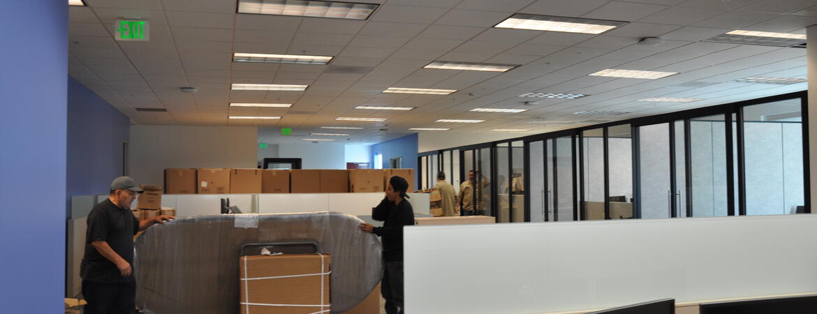 movers bring in furniture