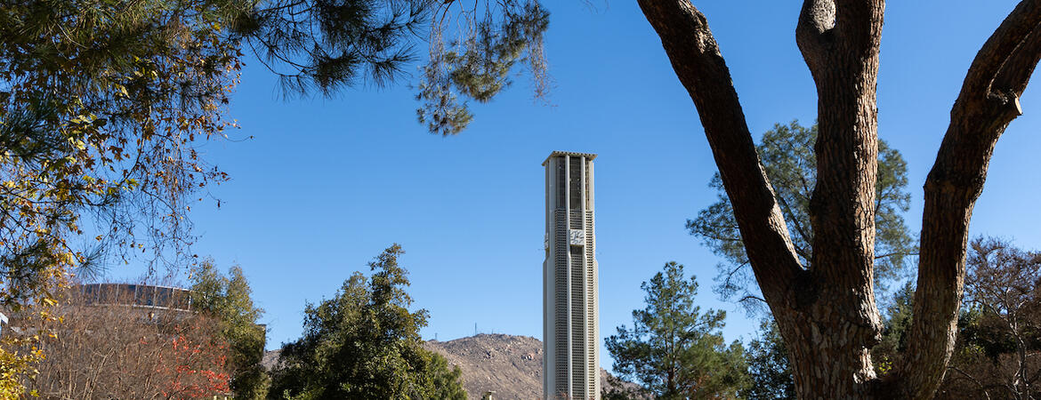 Campus bell tower view