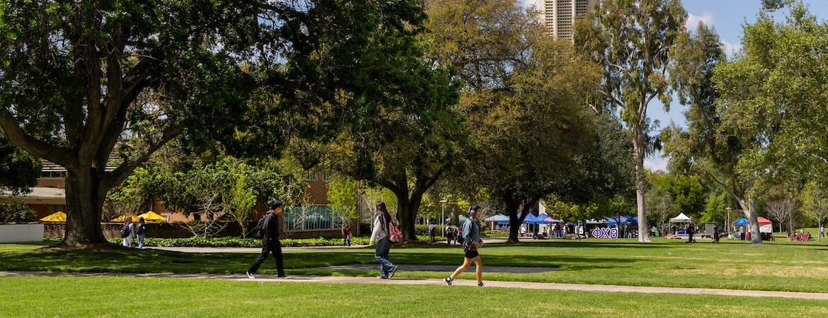 Pierce Lawn on campus