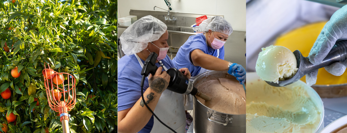 Ice cream making process