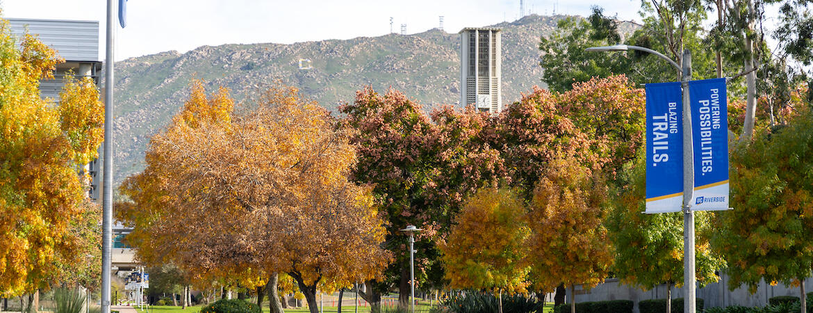 Campus entrance