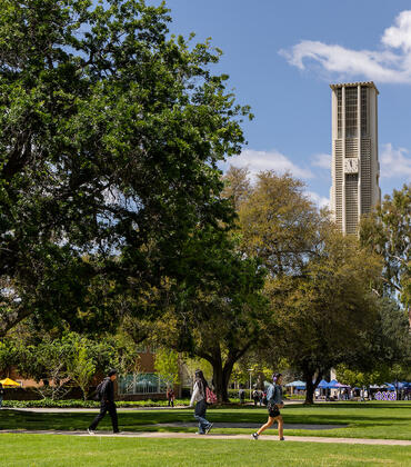 Pierce Lawn on campus
