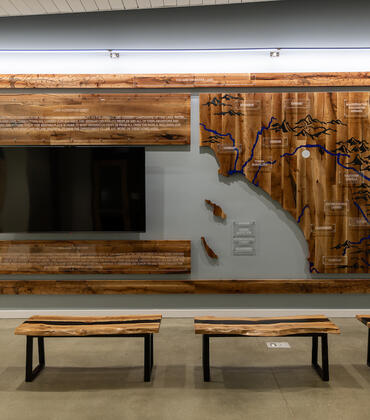 oak tree art display