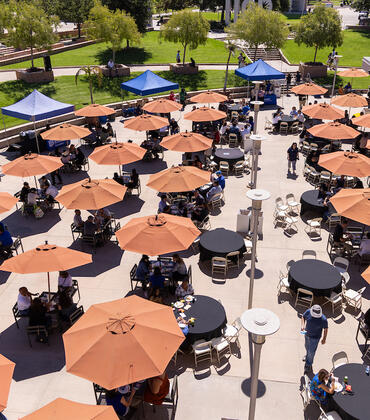 Chancellor's faculty and staff picnic