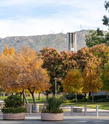 Campus entrance