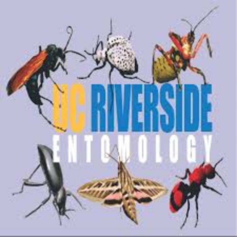 Entomology logo