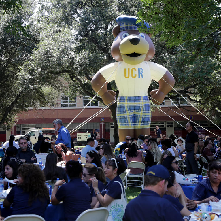 Chancellor's picnic