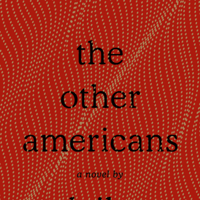 Cover of "The Other Americans"