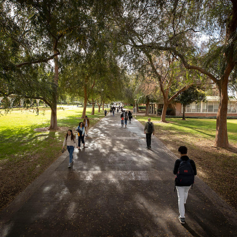 Students walking on campus