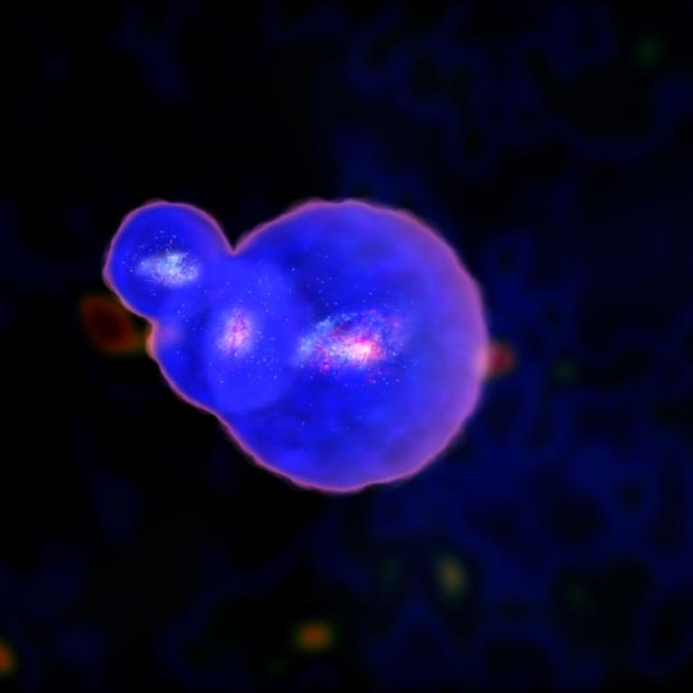  Illustration of the EGS77 galaxy group