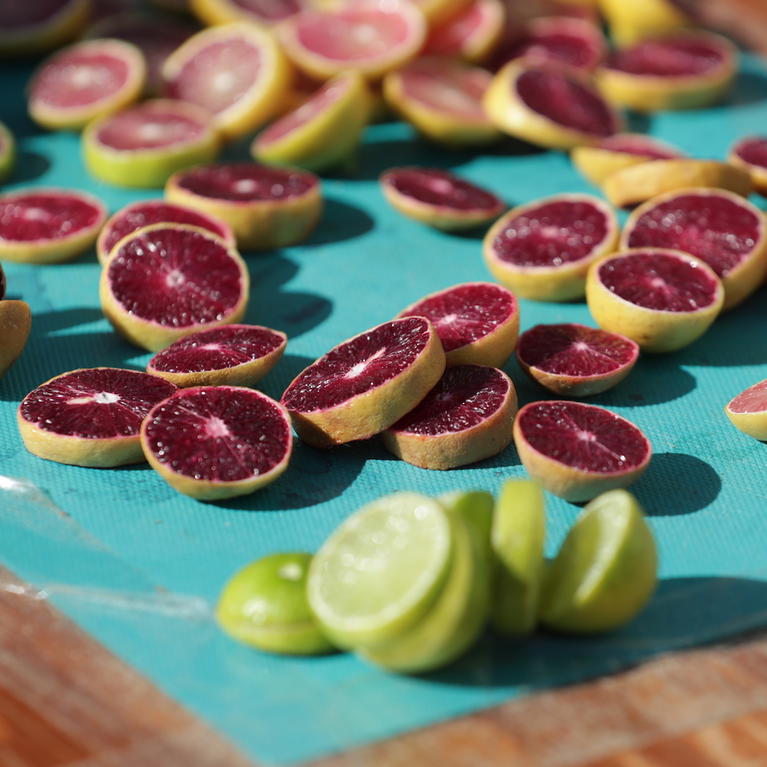 Sliced citrus has red, pink, or green flesh