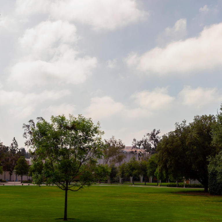 campus panorama