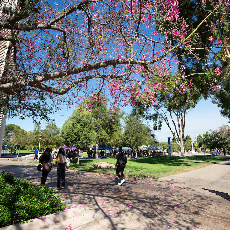 Students on campus near the bell tower