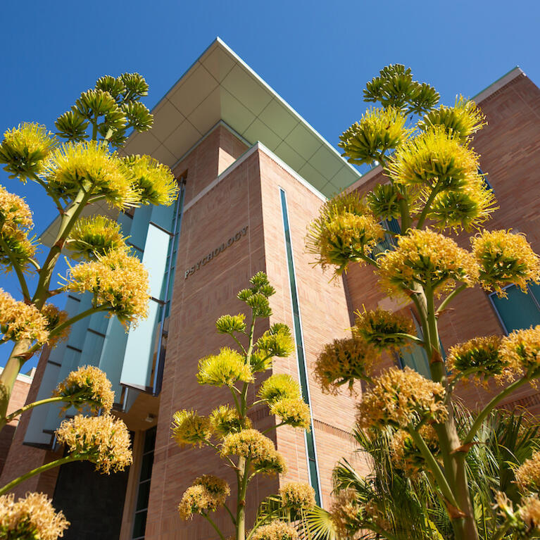 psychology building