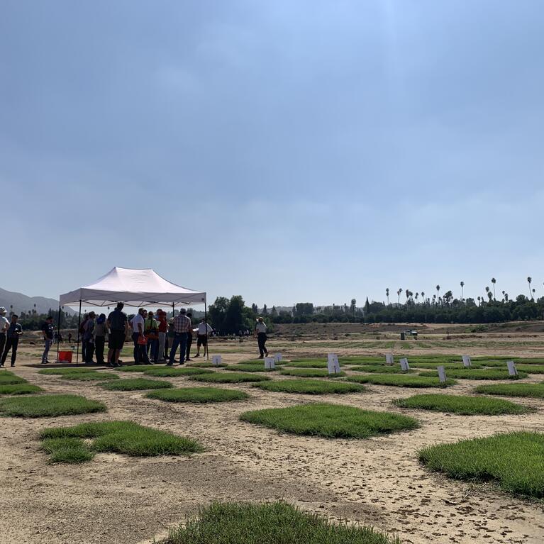 Turfgrass and Landscape field day