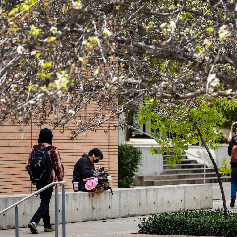 students on campus