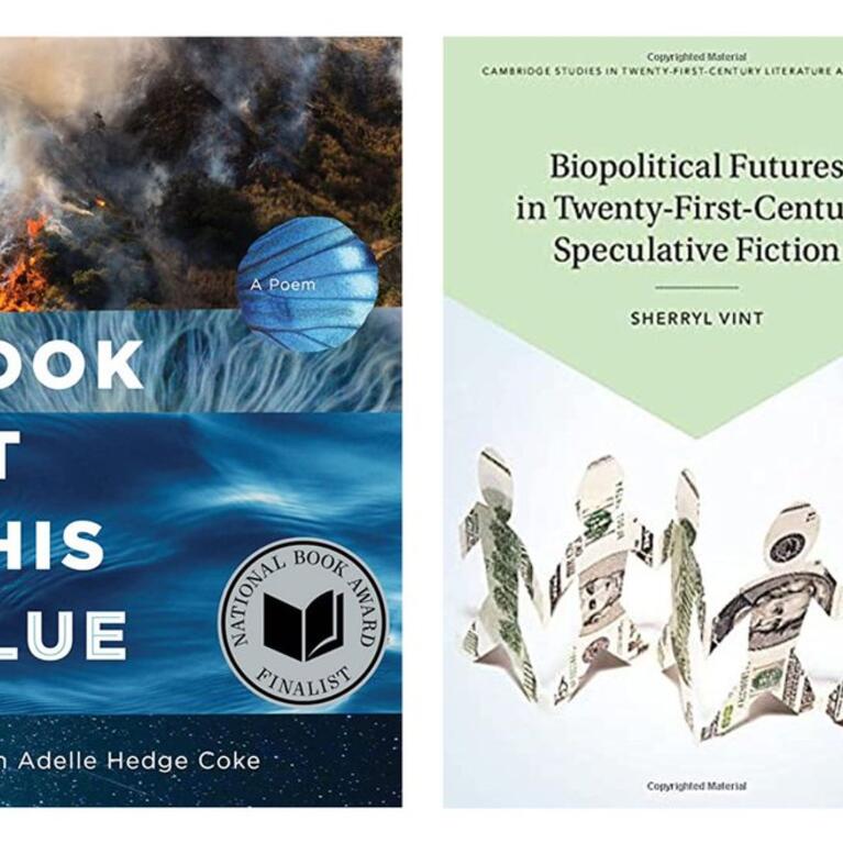 Emory Elliott Book Awards covers