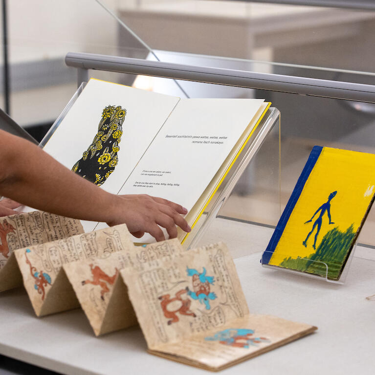 Indigenous languages display