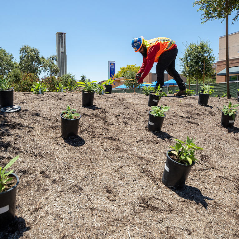 Native American Garden