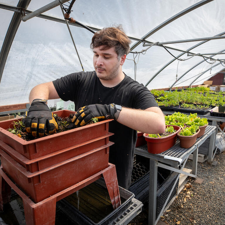 Clifford Morrison composting
