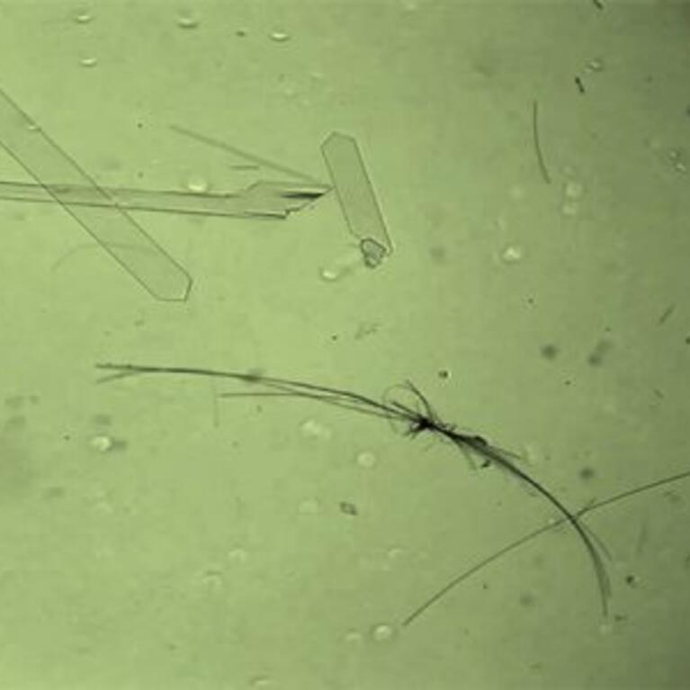 Tiny motor made from crystallized molecules