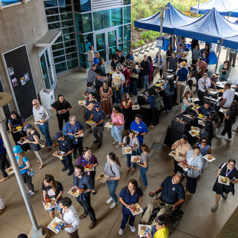 Chancellor's faculty and staff picnic