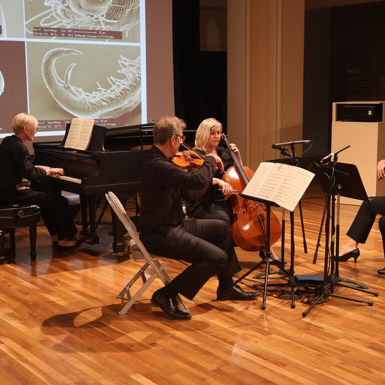 Musicians performing