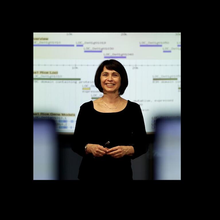 Professor Susan Wessler