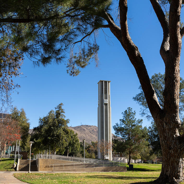 Campus bell tower view