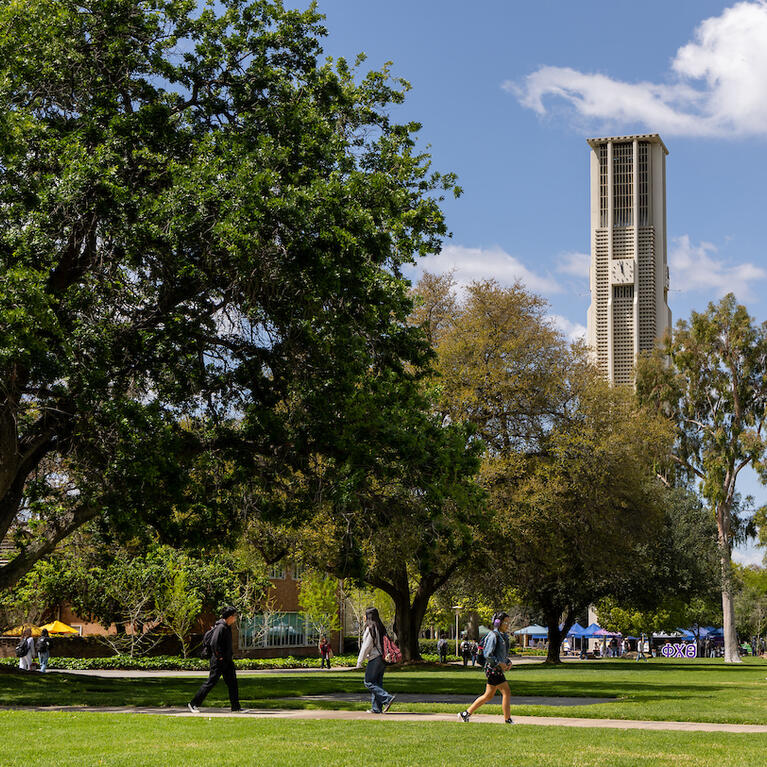 Pierce Lawn on campus