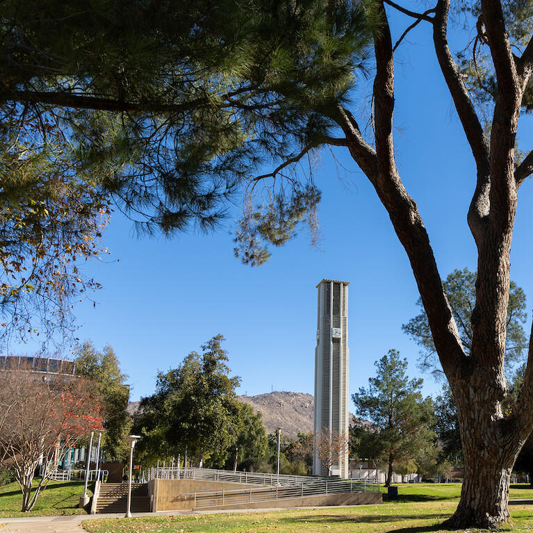 Campus bell tower view
