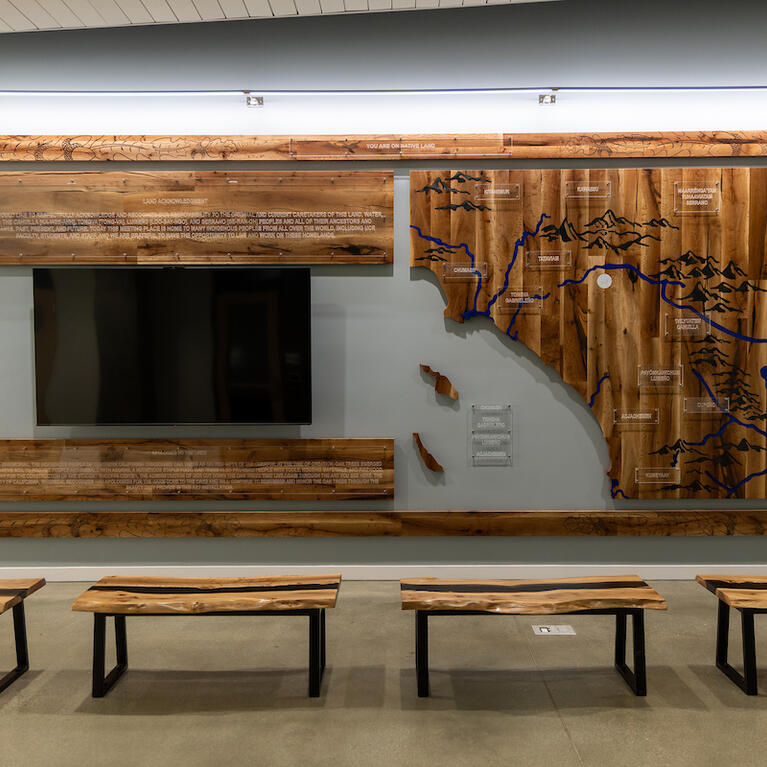 oak tree art display