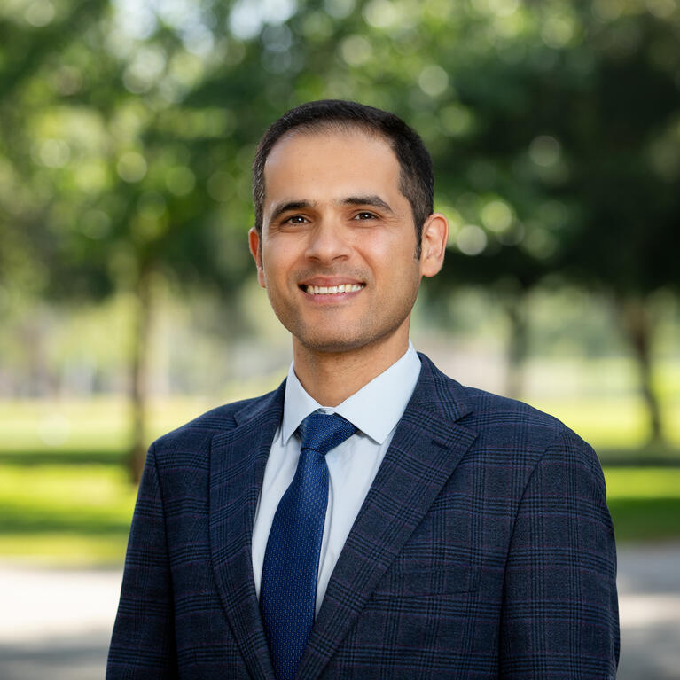Professor Amir Verdi