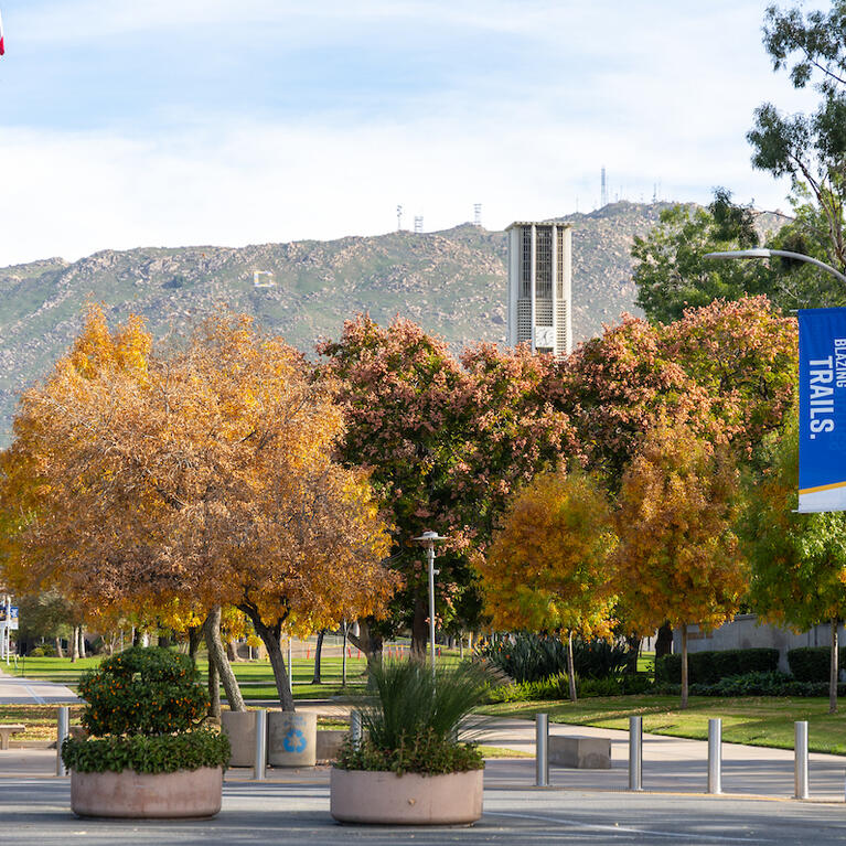Campus entrance