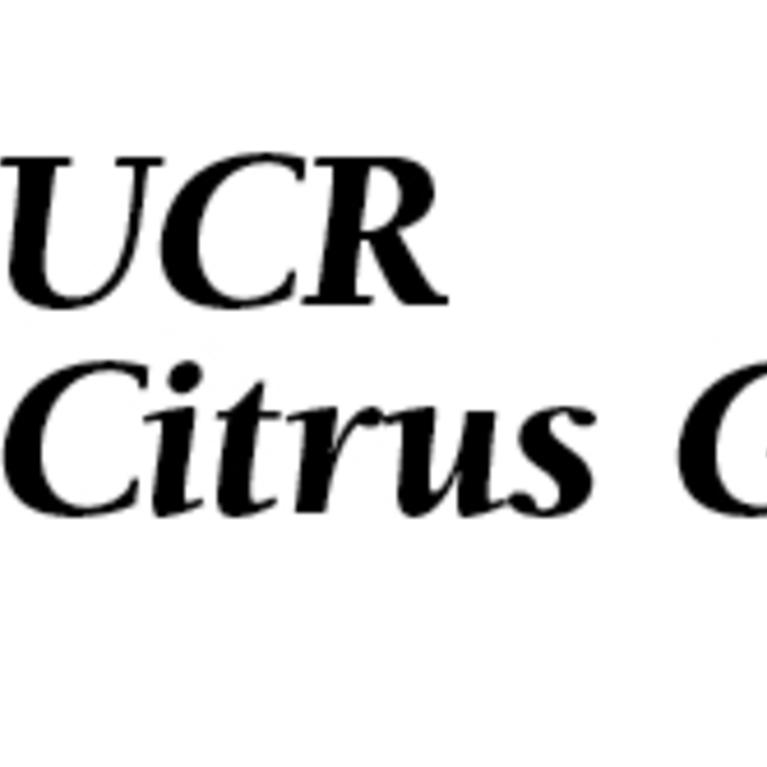 Citrus Gifts 2020 - scotmemo.jpg